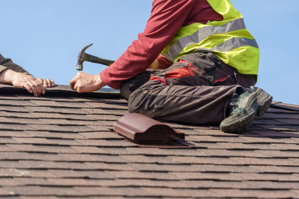Best Commercial Roof Installation  in Canby, MN