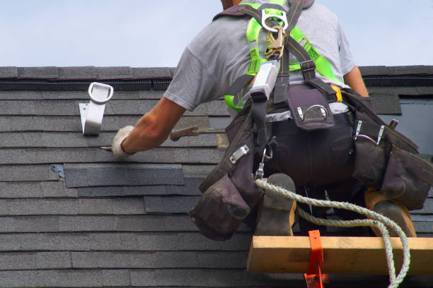 Best Gutter Installation and Roofing  in Canby, MN