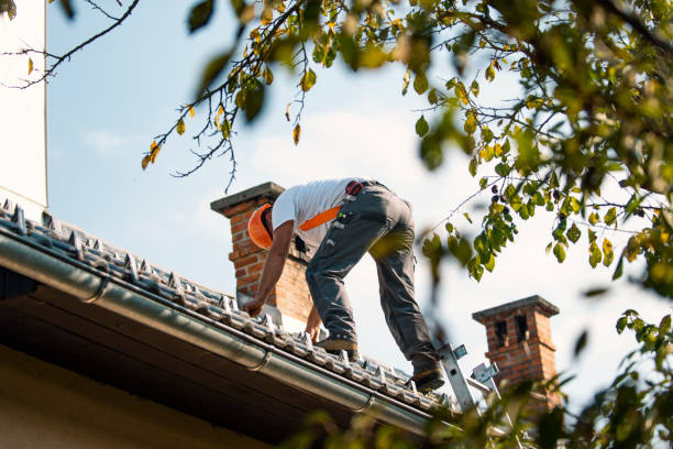 Best Flat Roof Repair Services  in Canby, MN