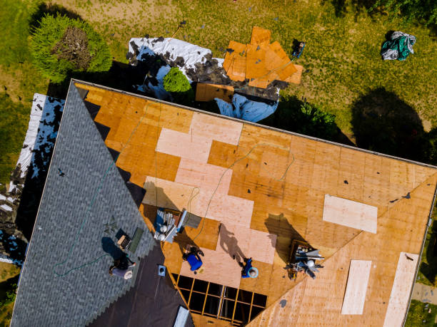 Best Residential Roofing Contractor  in Canby, MN