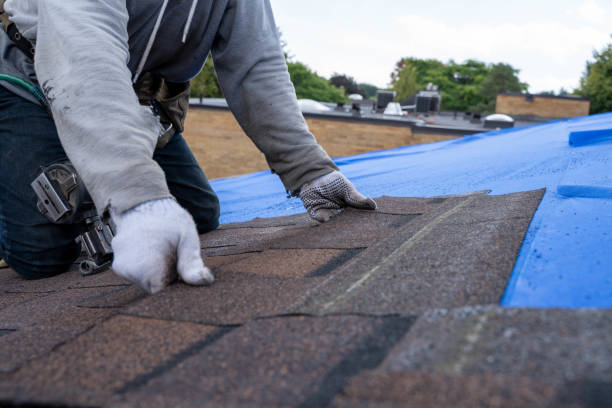 Best Commercial Roofing Services  in Canby, MN