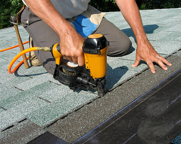 Best Roof Leak Repair  in Canby, MN