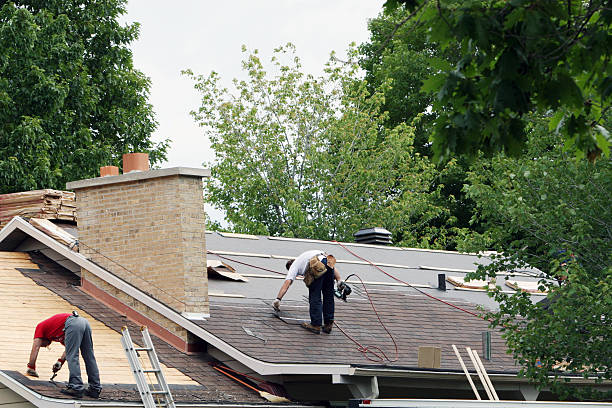 Best Roof Repair Services  in Canby, MN