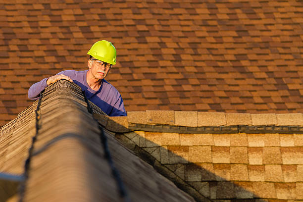 Professional Roofing Contractor in Canby, MN